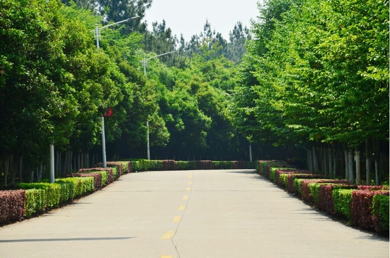 江西中醫(yī)藥大學(xué)校園風(fēng)景